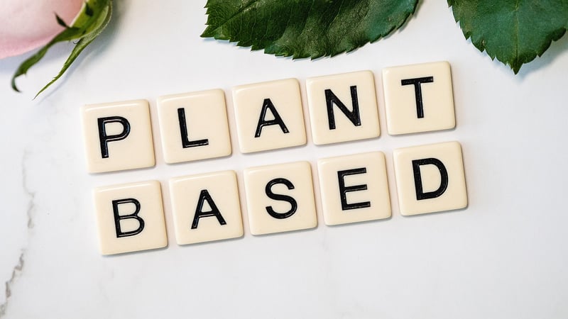 Plant-Based Dishes